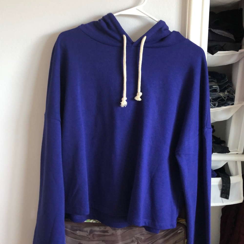 Zara Blue/Purple Hoodie